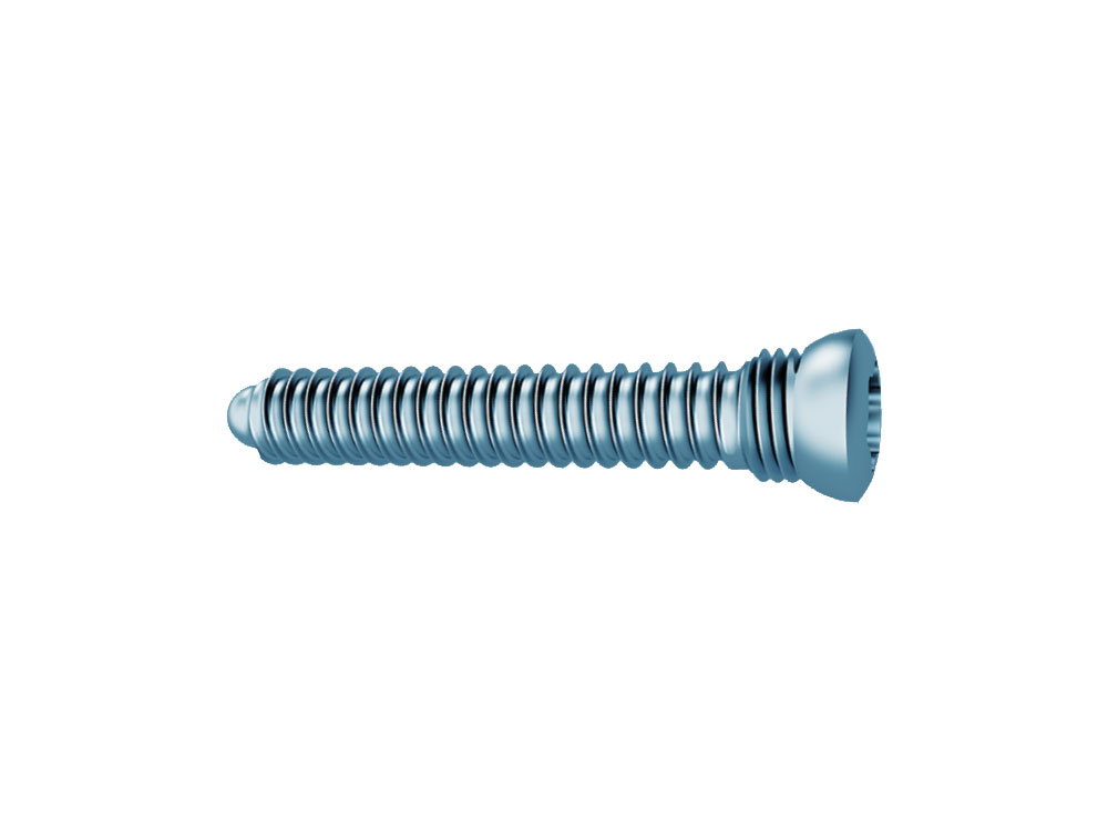 Locking Screw